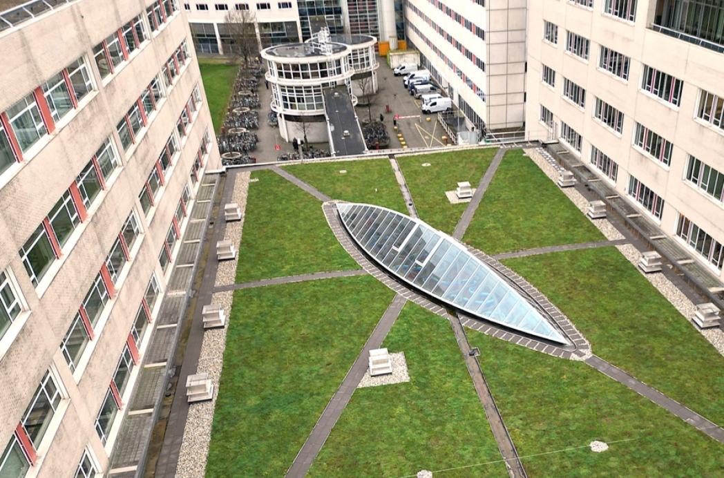 Zekerheid voor uw vastgoed: kies voor vakmanschap en 10 jaar garantie met het DAKMERK-keurmerk