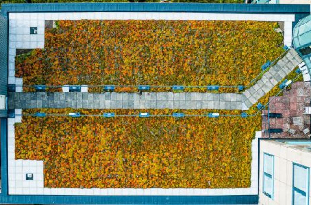 De meest effectieve manier voor het verduurzamen van woningen