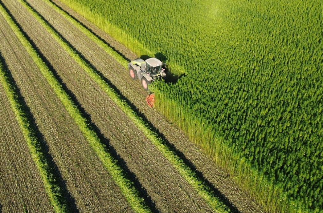 BEWI IsoBouw introduceert biobased isolatie
