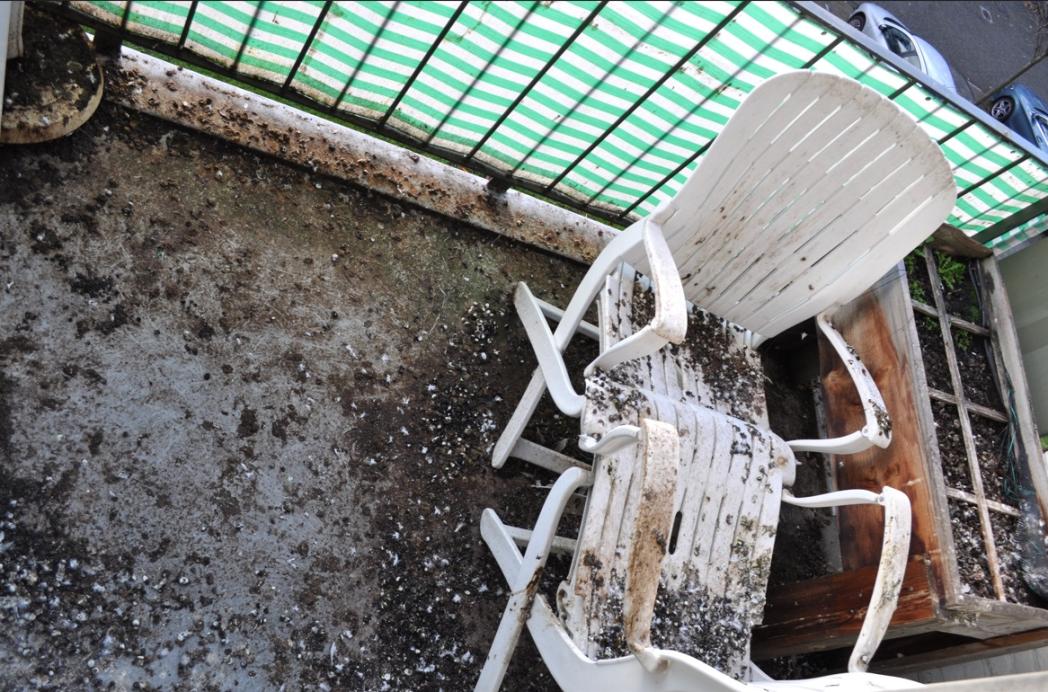 Problematiek van duivenpoep op balkons