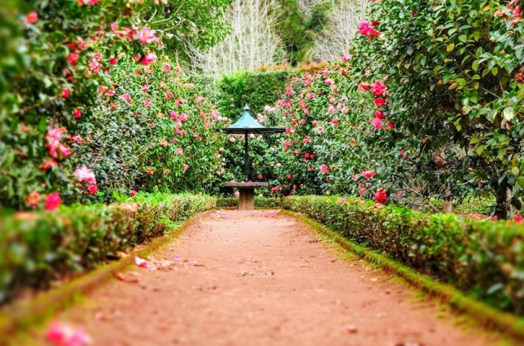 Welke tuintafel kiezen voor tuin, balkon of dakterras?