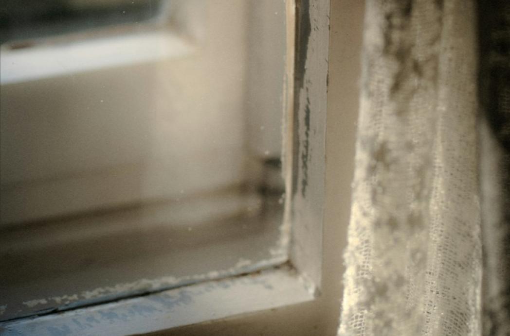 Vocht en schimmel in huurwoningen effectief aanpakken